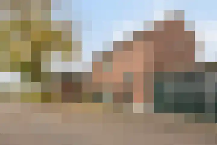 Gelkinkweg 3 De Heurne thumbnail 4