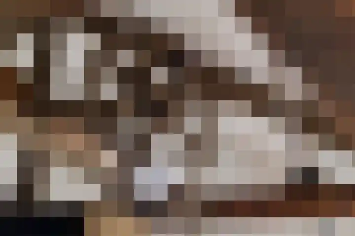 Gelkinkweg 3 De Heurne thumbnail 43