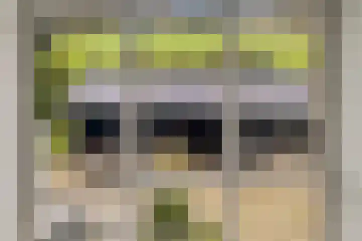Gelkinkweg 3 De Heurne thumbnail 44
