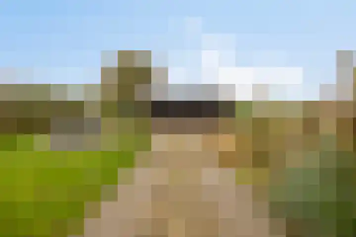 Gelkinkweg 3 De Heurne thumbnail 45