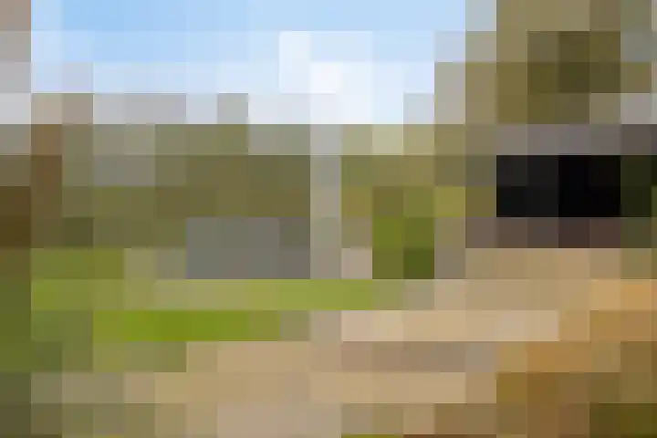 Gelkinkweg 3 De Heurne thumbnail 46