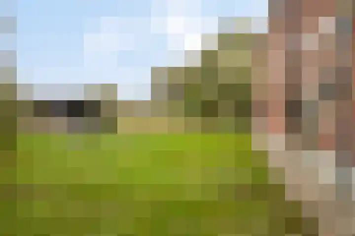 Gelkinkweg 3 De Heurne thumbnail 47
