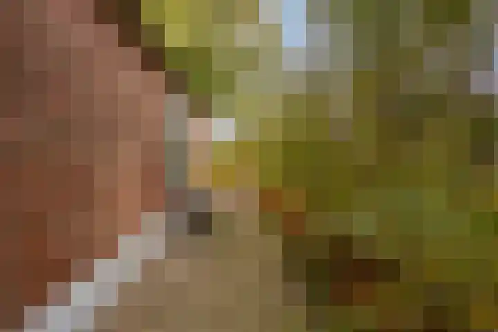 Gelkinkweg 3 De Heurne thumbnail 48
