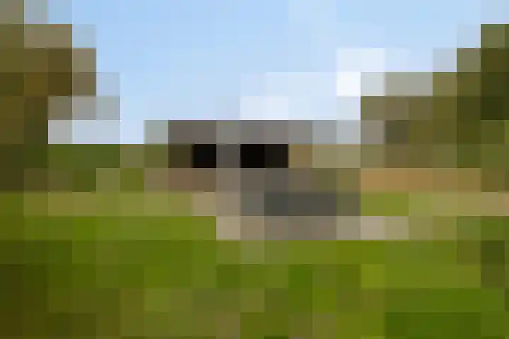 Gelkinkweg 3 De Heurne thumbnail 49