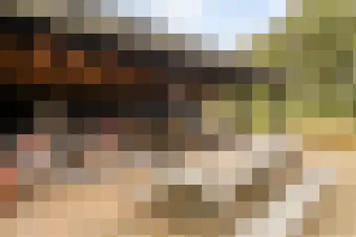 Gelkinkweg 3 De Heurne thumbnail 50