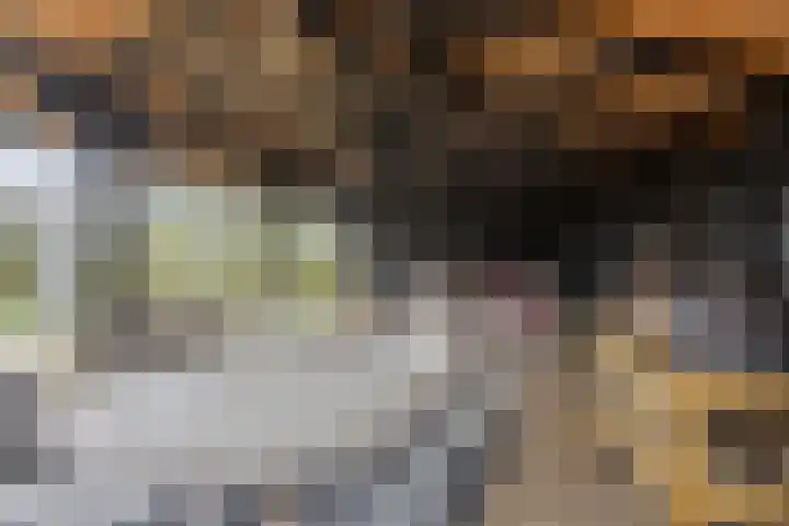 Gelkinkweg 3 De Heurne thumbnail 52