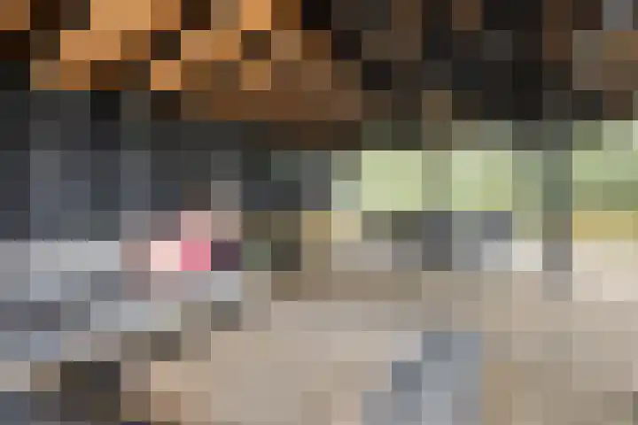 Gelkinkweg 3 De Heurne thumbnail 53