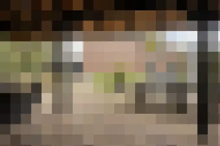 Gelkinkweg 3 De Heurne thumbnail 55