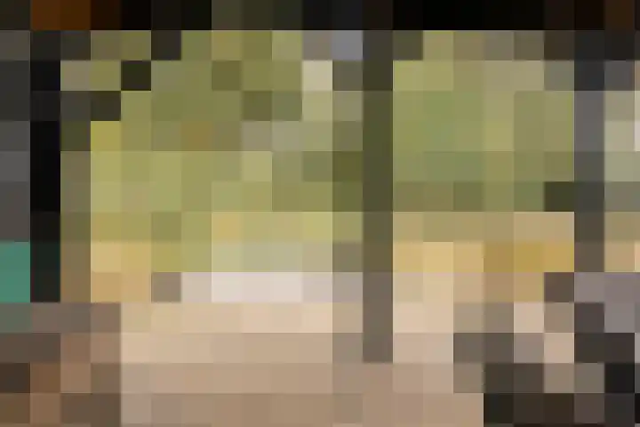Gelkinkweg 3 De Heurne thumbnail 56