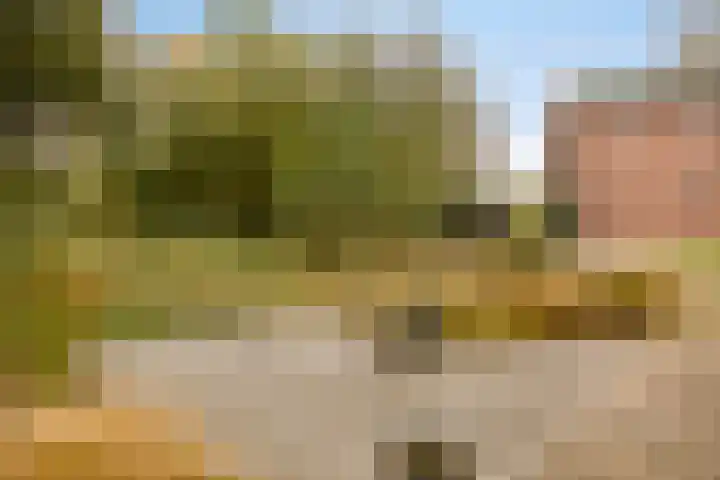 Gelkinkweg 3 De Heurne thumbnail 57