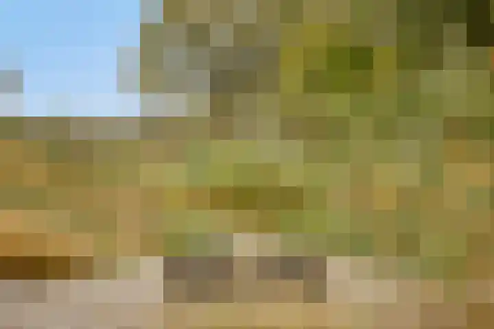 Gelkinkweg 3 De Heurne thumbnail 58