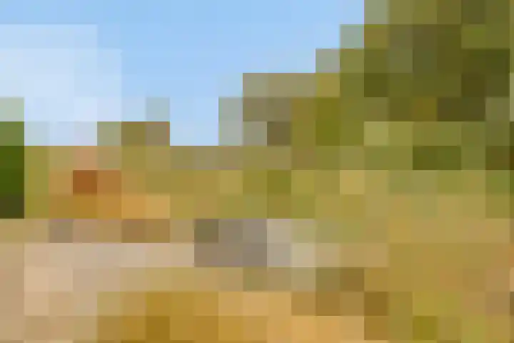 Gelkinkweg 3 De Heurne thumbnail 59