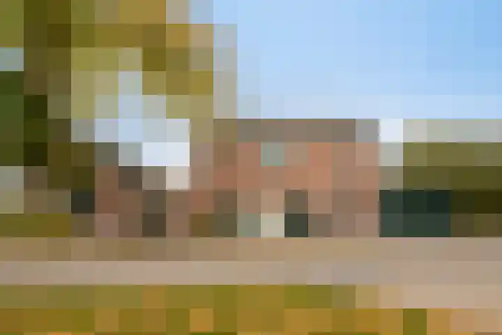 Gelkinkweg 3 De Heurne thumbnail 6