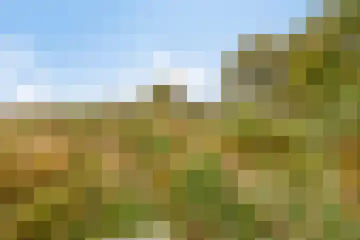 Gelkinkweg 3 De Heurne thumbnail 60