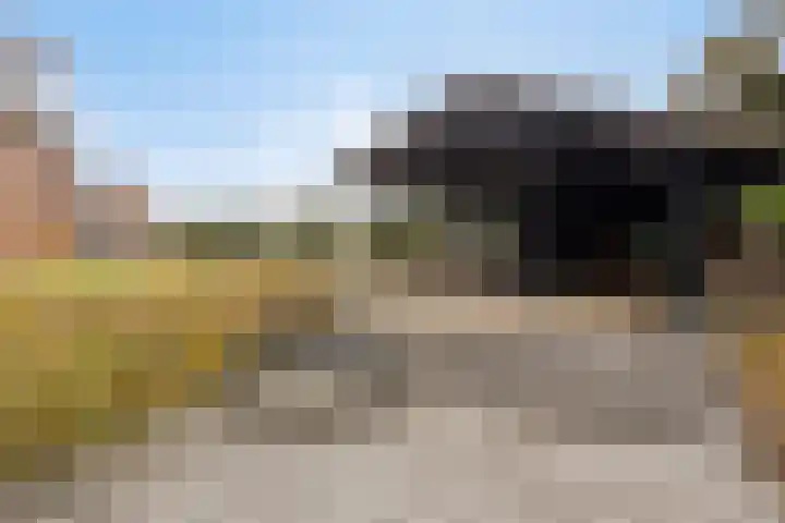 Gelkinkweg 3 De Heurne thumbnail 61