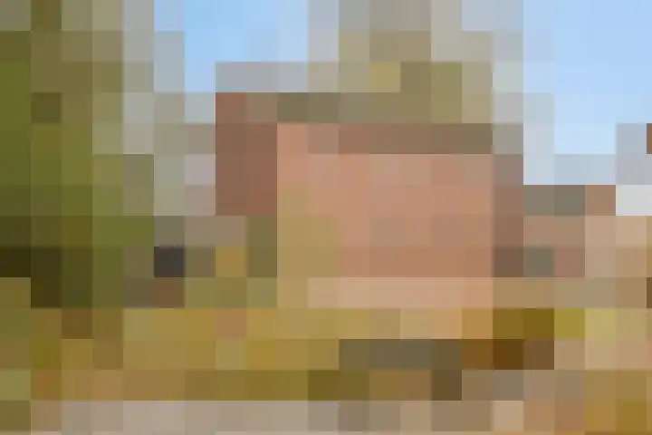 Gelkinkweg 3 De Heurne thumbnail 63