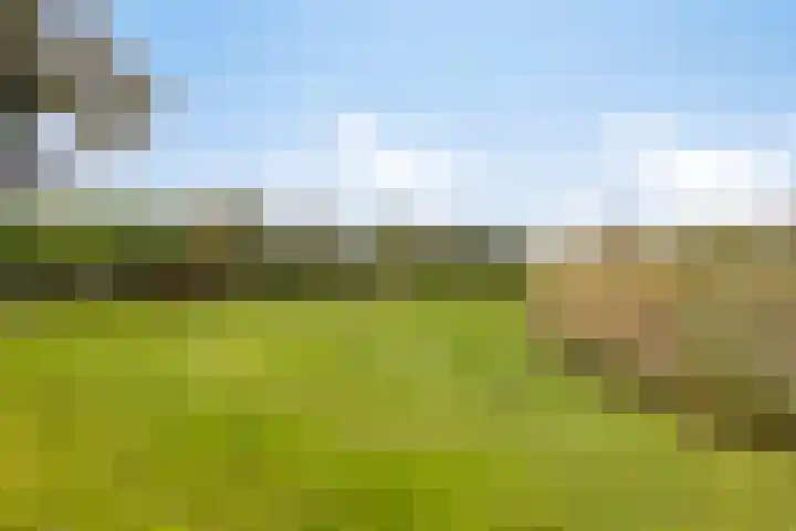 Gelkinkweg 3 De Heurne thumbnail 64