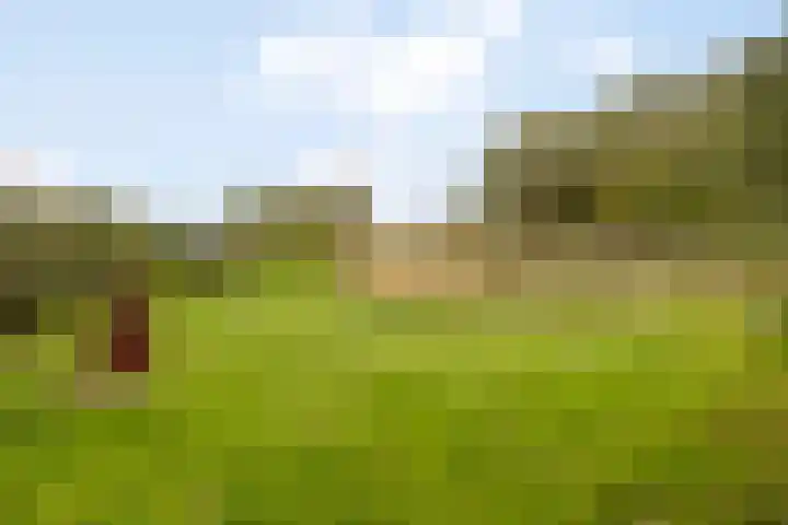 Gelkinkweg 3 De Heurne thumbnail 65