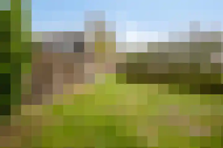 Gelkinkweg 3 De Heurne thumbnail 66