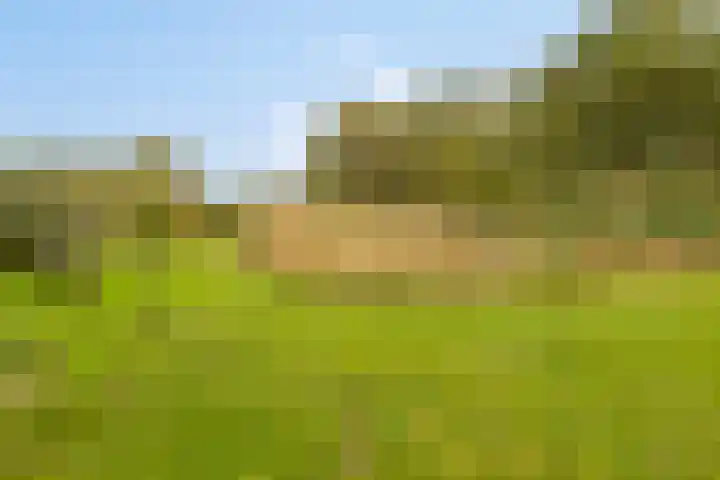 Gelkinkweg 3 De Heurne thumbnail 67