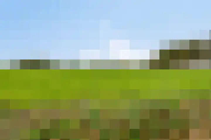 Gelkinkweg 3 De Heurne thumbnail 68