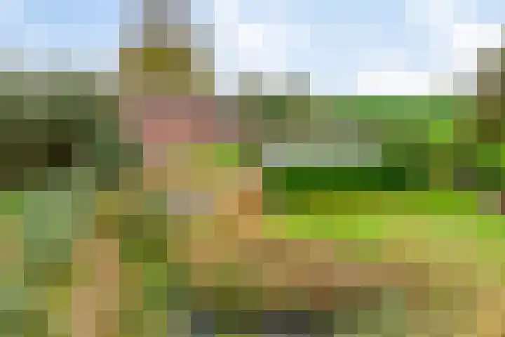 Gelkinkweg 3 De Heurne thumbnail 69