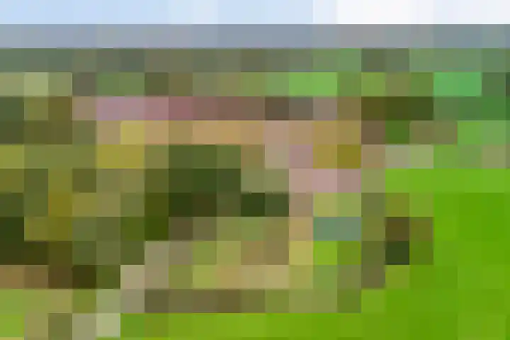 Gelkinkweg 3 De Heurne thumbnail 70