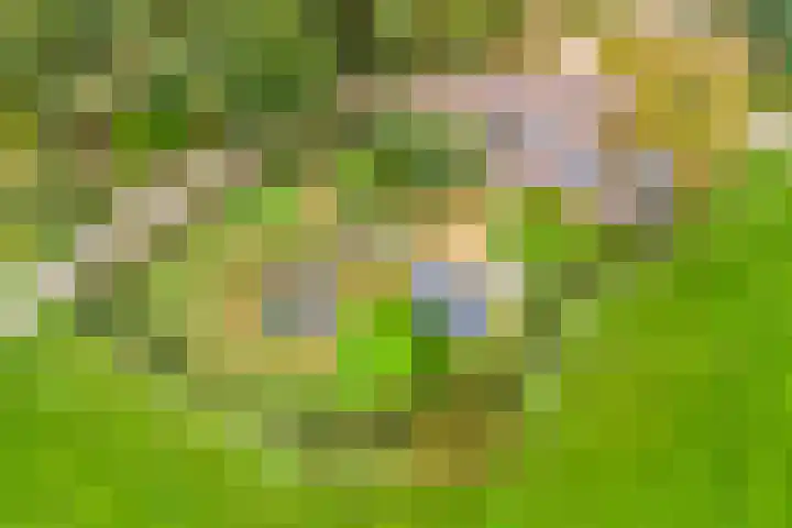 Gelkinkweg 3 De Heurne thumbnail 71