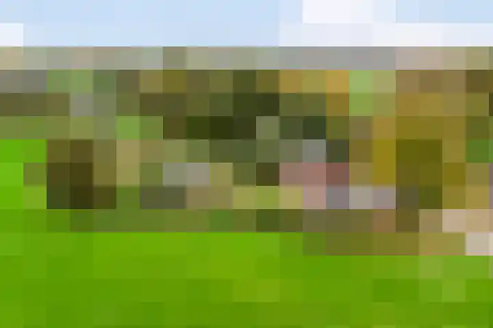 Gelkinkweg 3 De Heurne thumbnail 72
