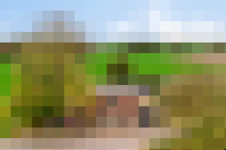 Gelkinkweg 3 De Heurne thumbnail 74