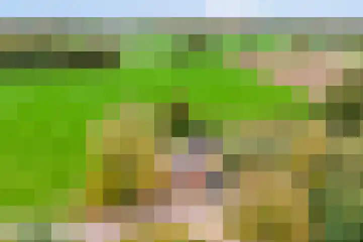 Gelkinkweg 3 De Heurne thumbnail 75