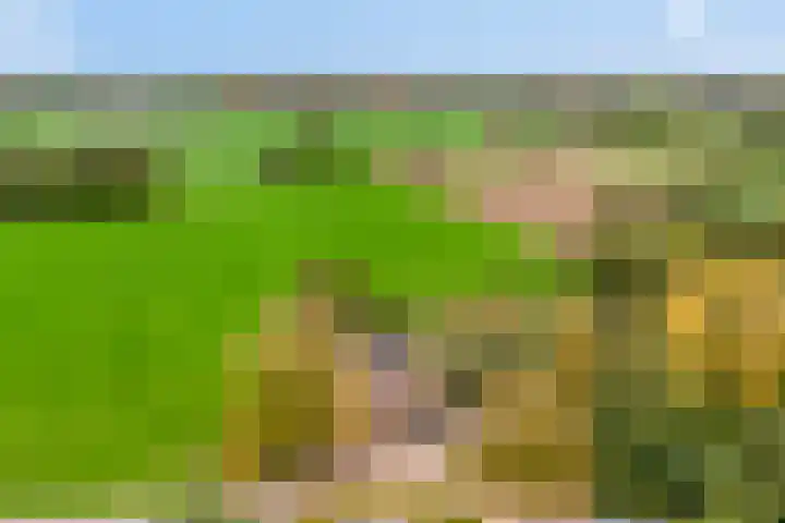 Gelkinkweg 3 De Heurne thumbnail 76