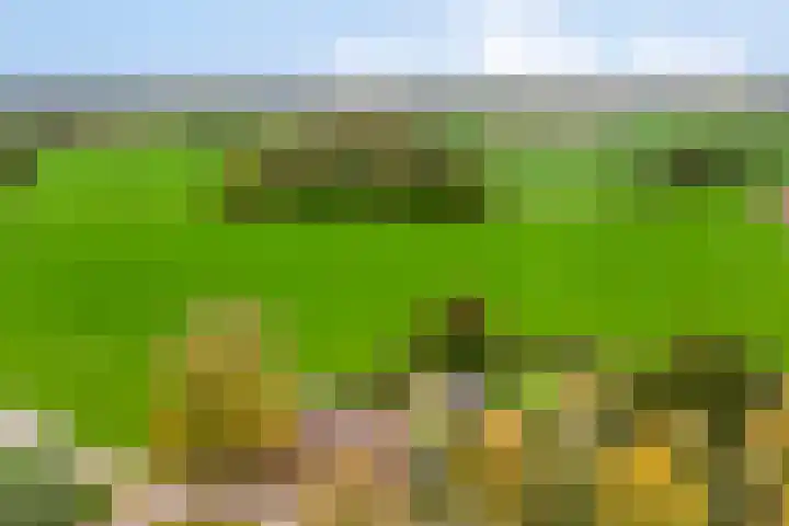Gelkinkweg 3 De Heurne thumbnail 77