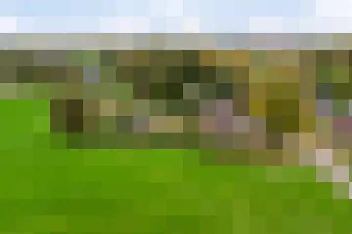 Gelkinkweg 3 De Heurne thumbnail 78