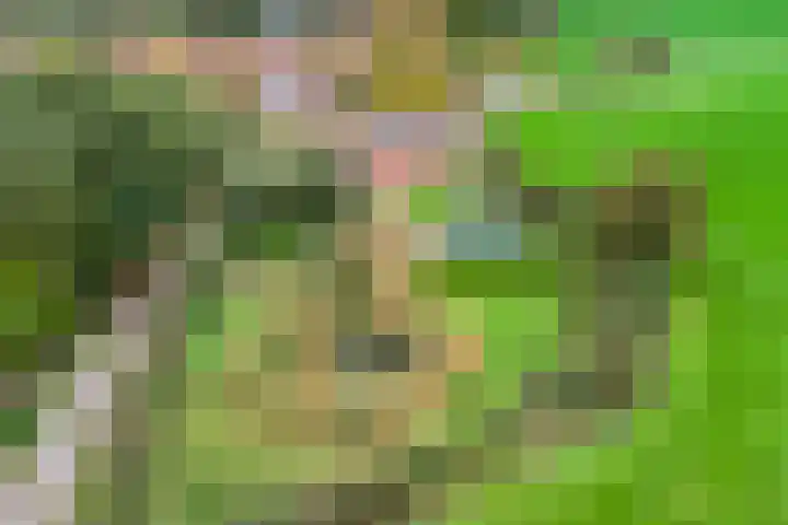 Gelkinkweg 3 De Heurne thumbnail 79