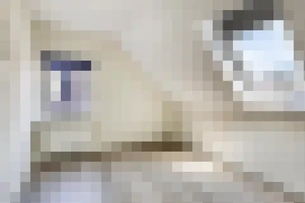 Gelmarusstraat 13 Yde thumbnail 41
