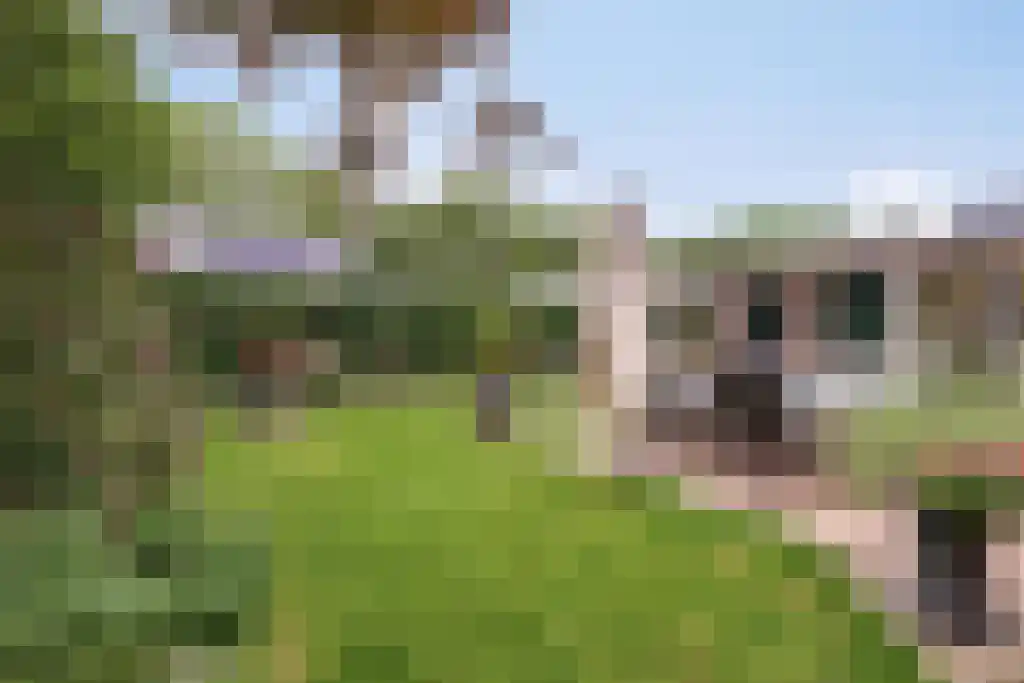 Gelmarusstraat 13 Yde thumbnail 46