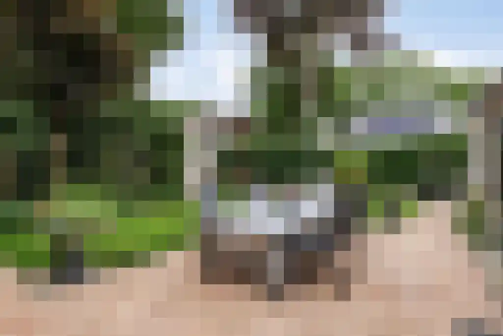 Gelmarusstraat 13 Yde thumbnail 47