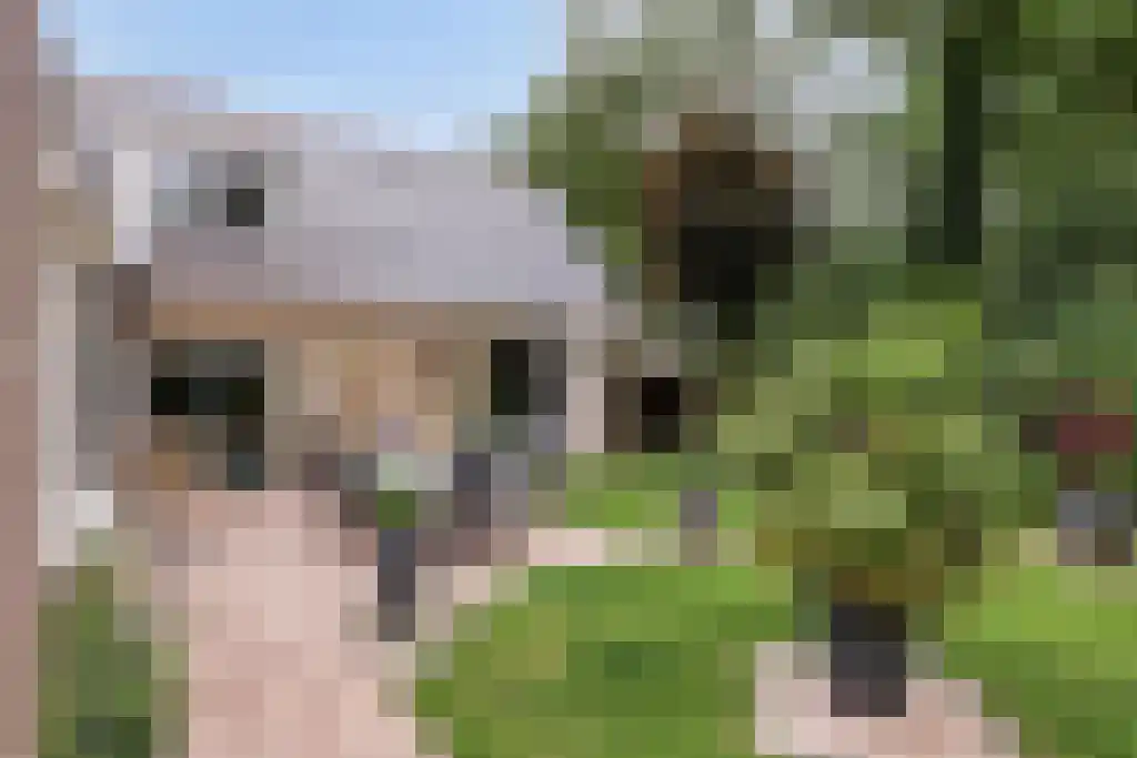 Gelmarusstraat 13 Yde thumbnail 48