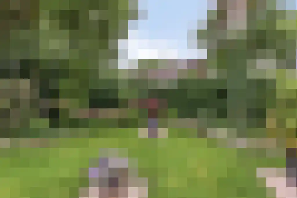 Gelmarusstraat 13 Yde thumbnail 50