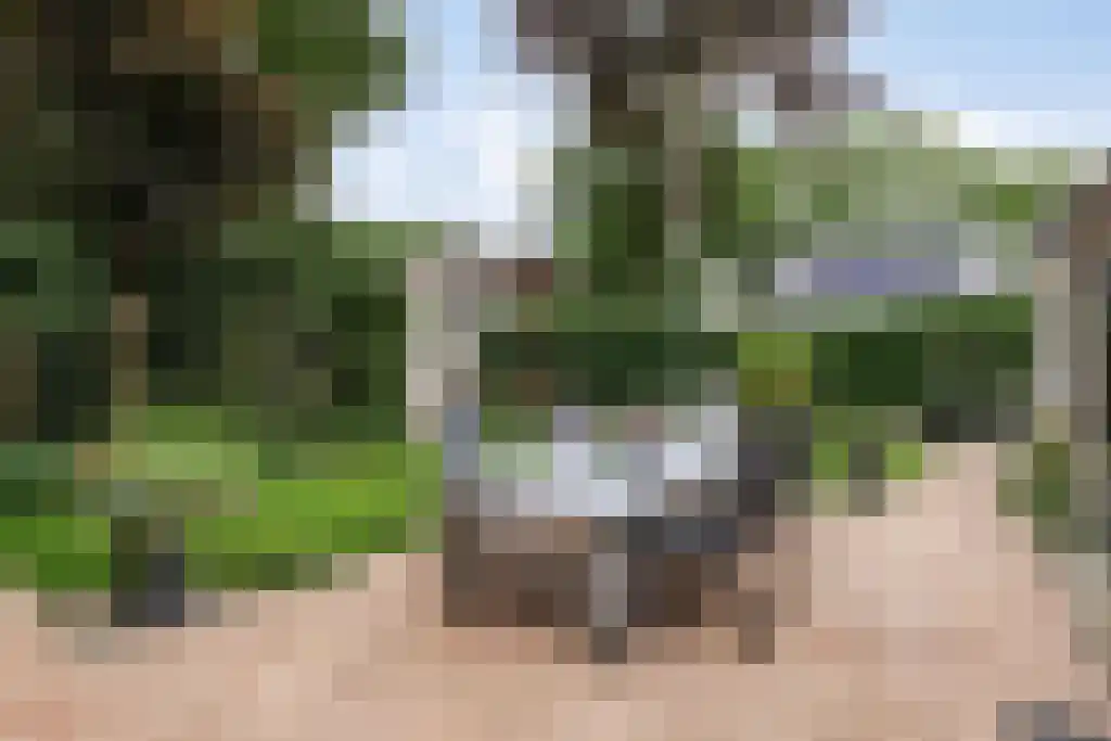 Gelmarusstraat 13 Yde thumbnail 6