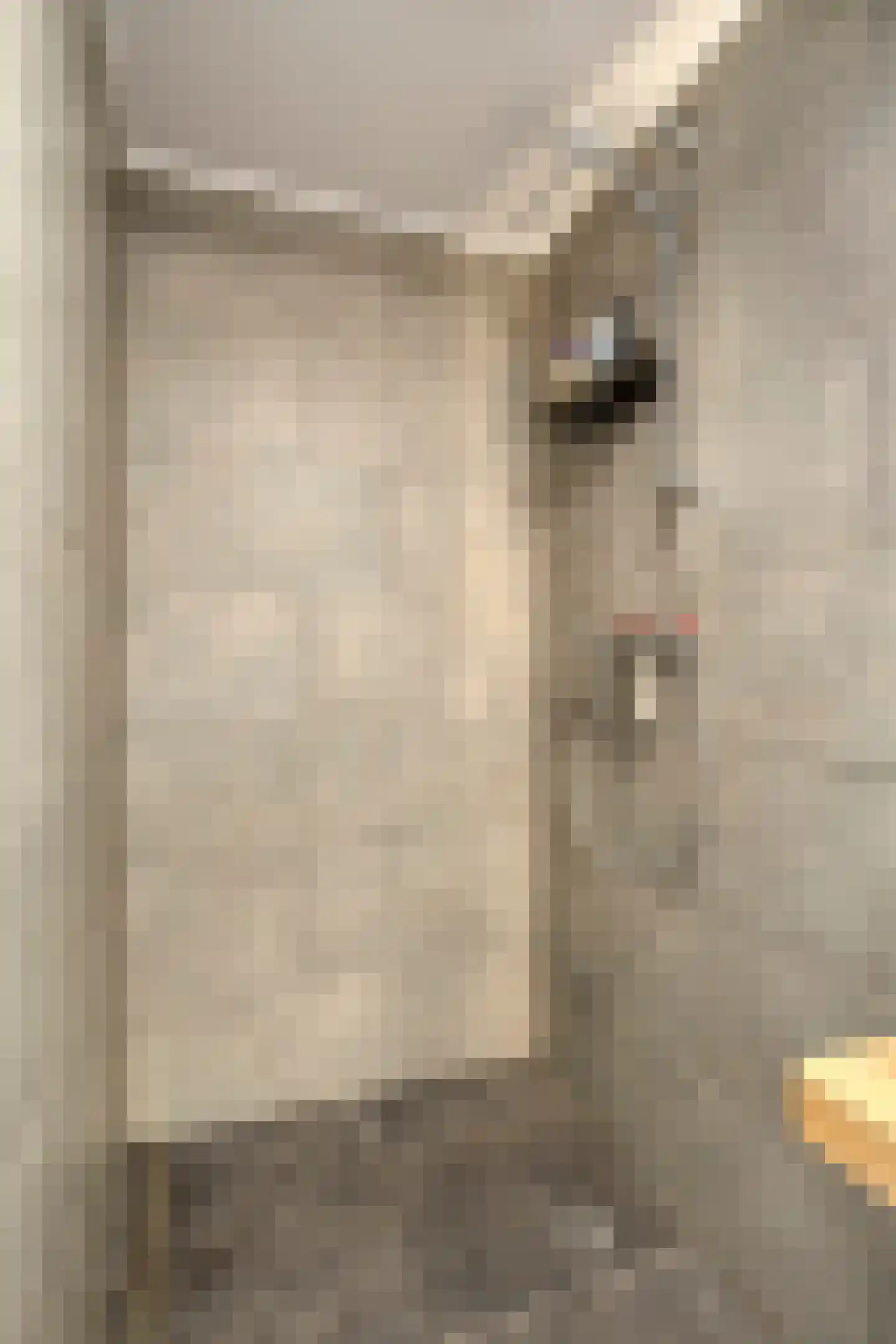 Gelmarusstraat 13 Yde thumbnail 66