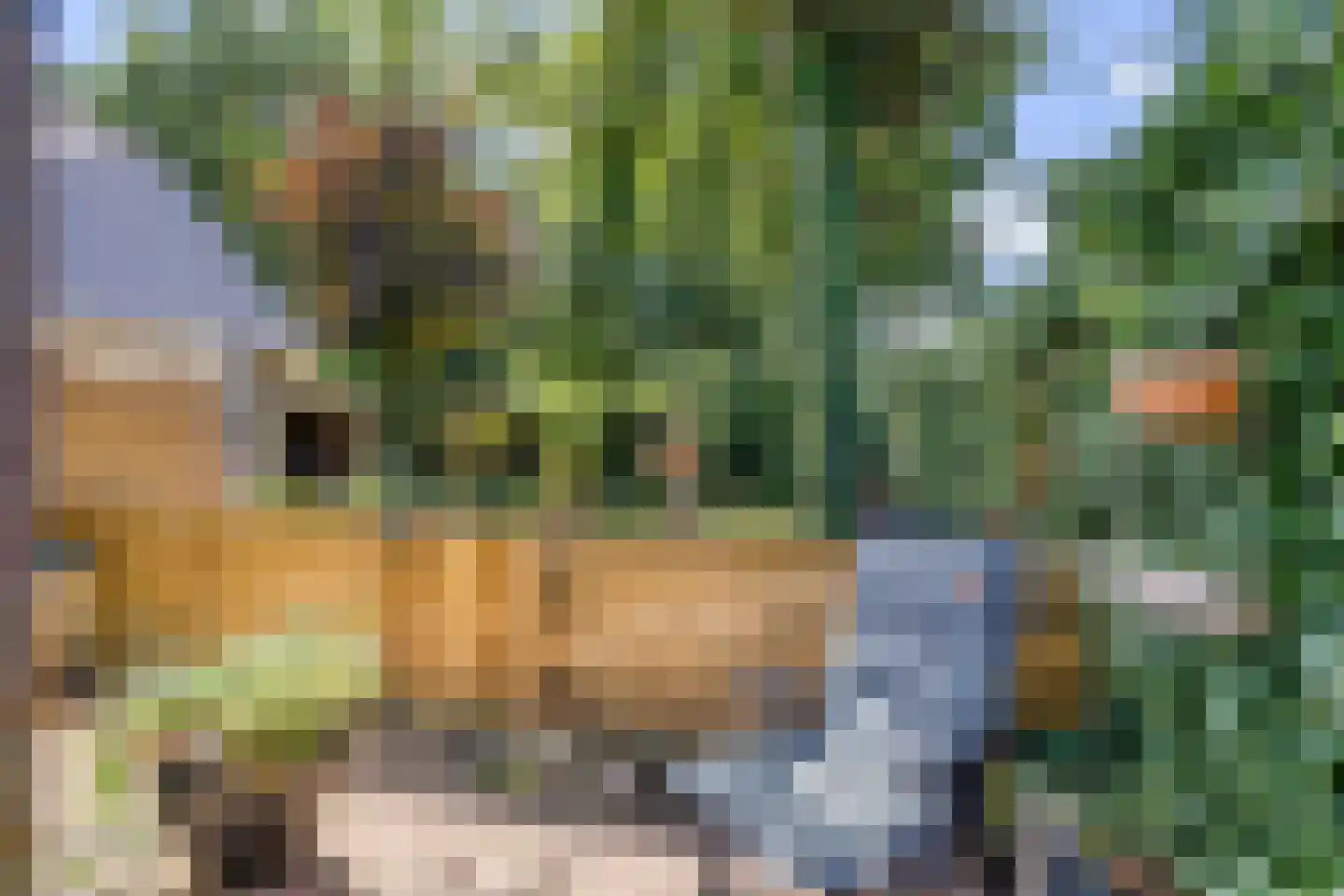 Gelmarusstraat 13 Yde thumbnail 8
