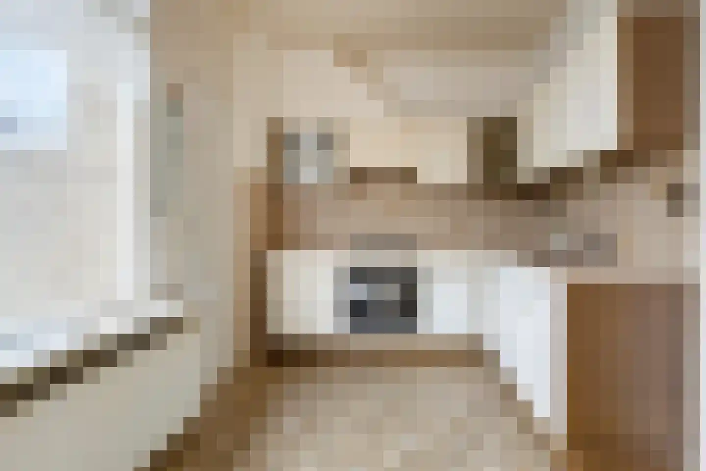 Gelmarusstraat 20 Yde thumbnail 25