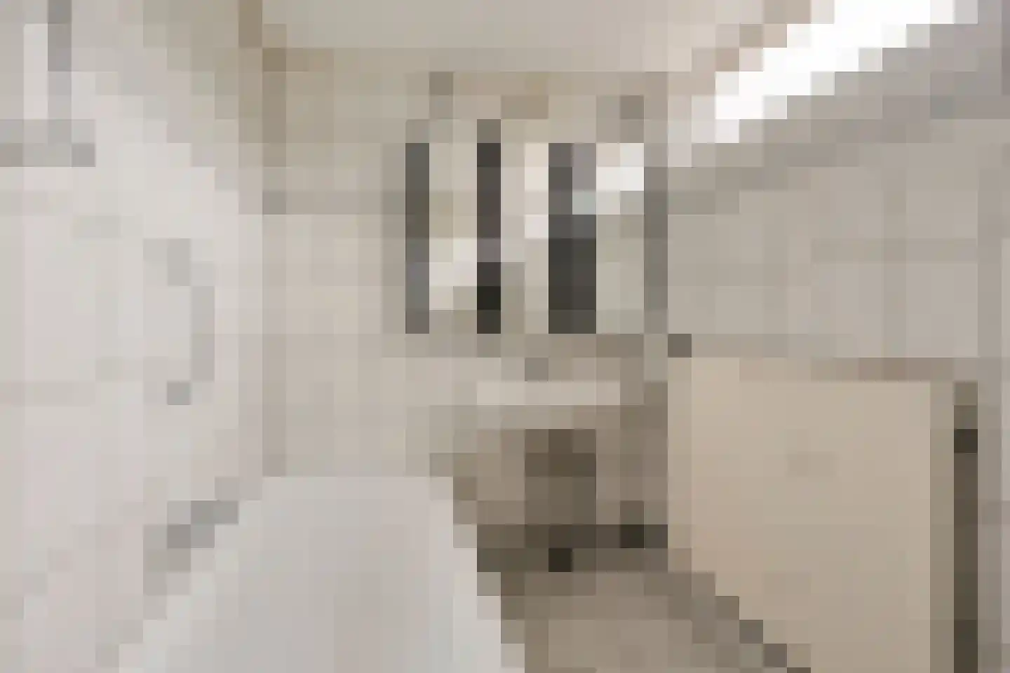 Gelmarusstraat 20 Yde thumbnail 31