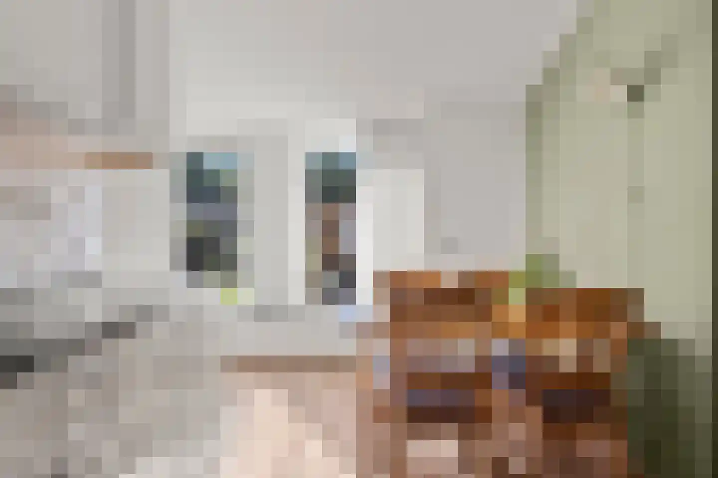 Gelpenberg 1 Aalden thumbnail 26