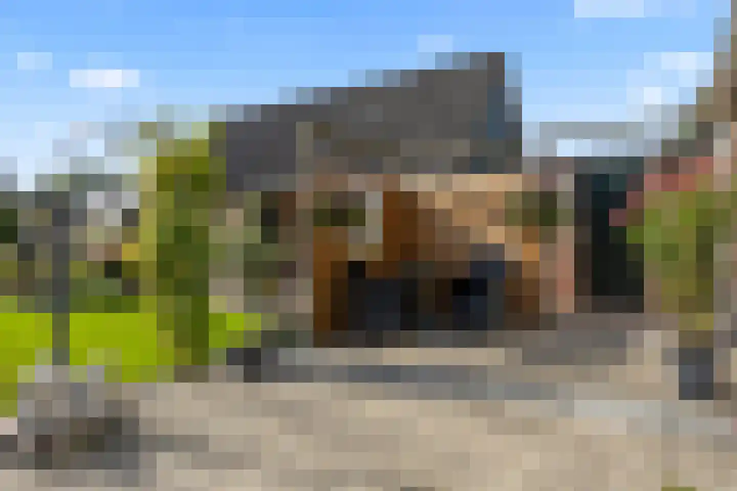 Gelpenberg 1 Aalden thumbnail 41