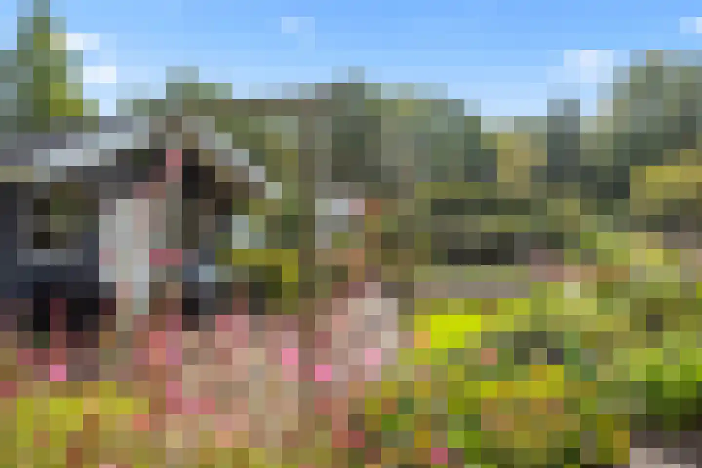 Gelpenberg 1 Aalden thumbnail 42