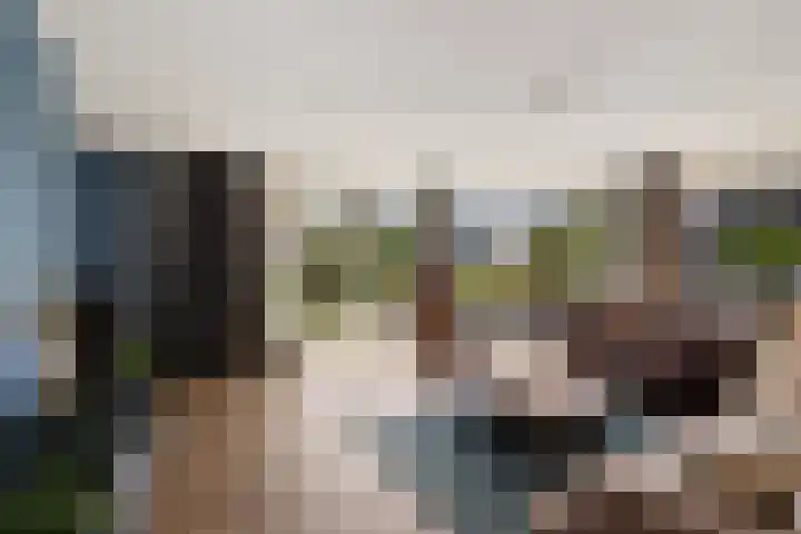Gelpenberg 9 A Aalden thumbnail 19