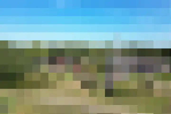 Gelpenberg 9 A Aalden thumbnail 4